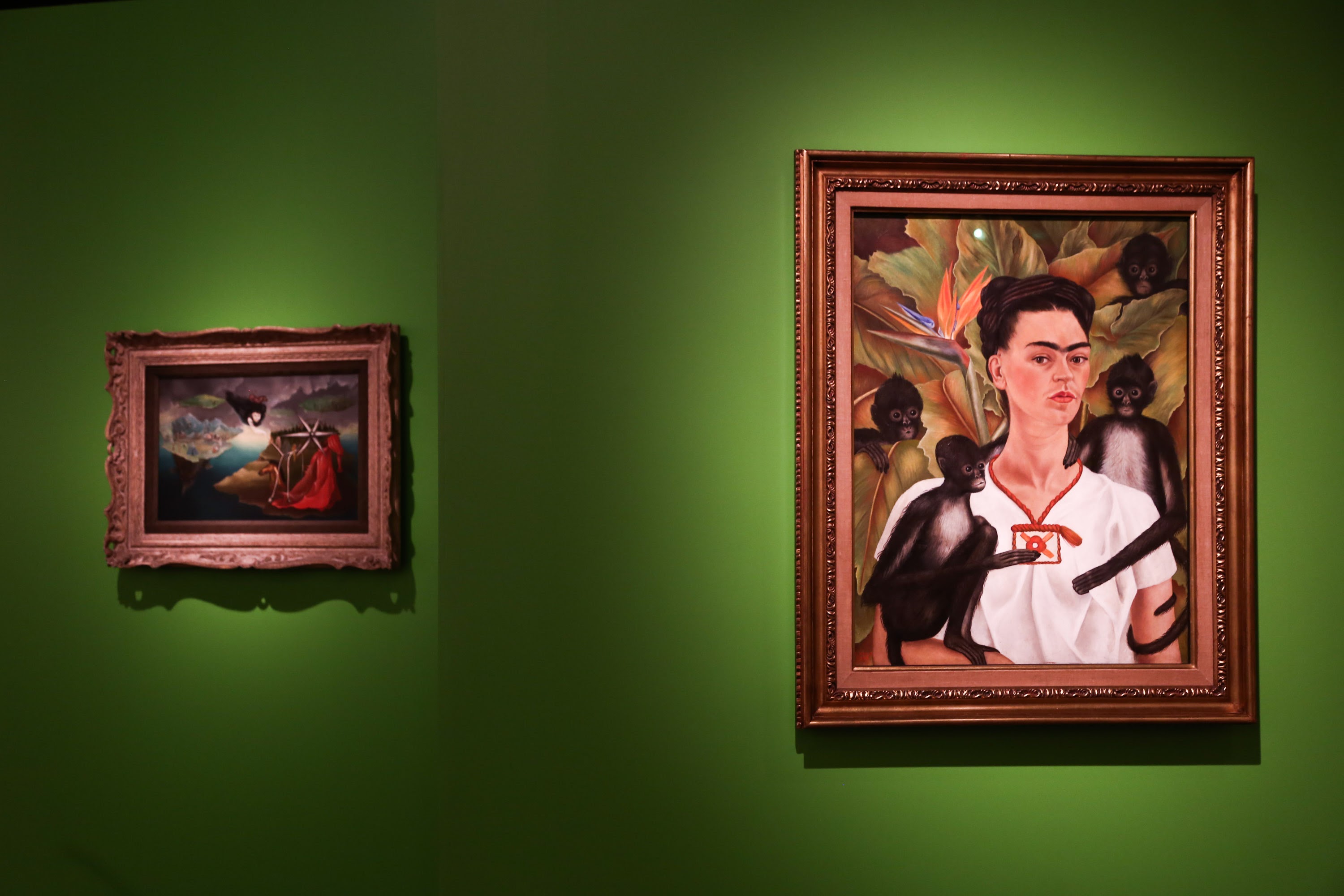 Exposição Frida Kahlo - Caixa Cultural Brasilia 2